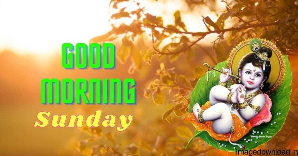 Today We have the latest Good morning Sunday images for you. All the good morning happy Sunday images are the best collection to share happy Sunday with ... 