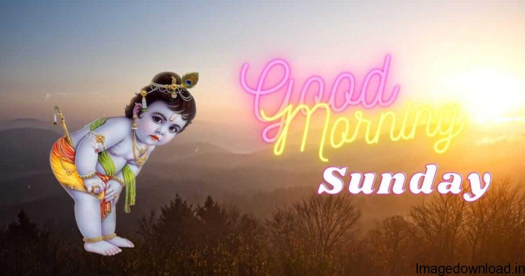 Download New And Awesome Best Good Morning Happy Sunday Images Hd Pictures Photos For Whatsapp In Hindi & English Language, Find Here Sunday ...