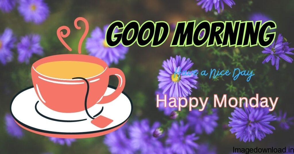 Image of Happy Monday Good Morning Images HD Happy Monday Good Morning Images HD Image of Happy Monday images Happy Monday images Image of Good Morning Monday Images and Quotes Good Morning Monday Images and Quotes Image of Happy Monday GIF Happy Monday GIF 