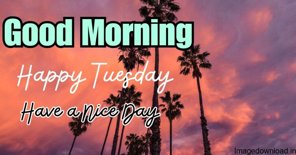  We are happy to present the good morning tuesday App. The good morning tuesday app contains a collection of happy tuesday images , and good ...