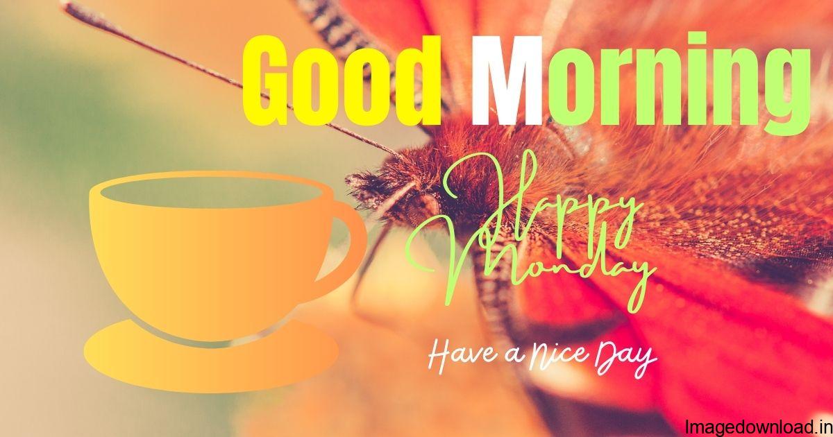 NEW Latest Good Morning Happy Monday HD Photos For Whatsapp Free Download With Happy Monday Good Morning Quotes Messages, Monday Morning.