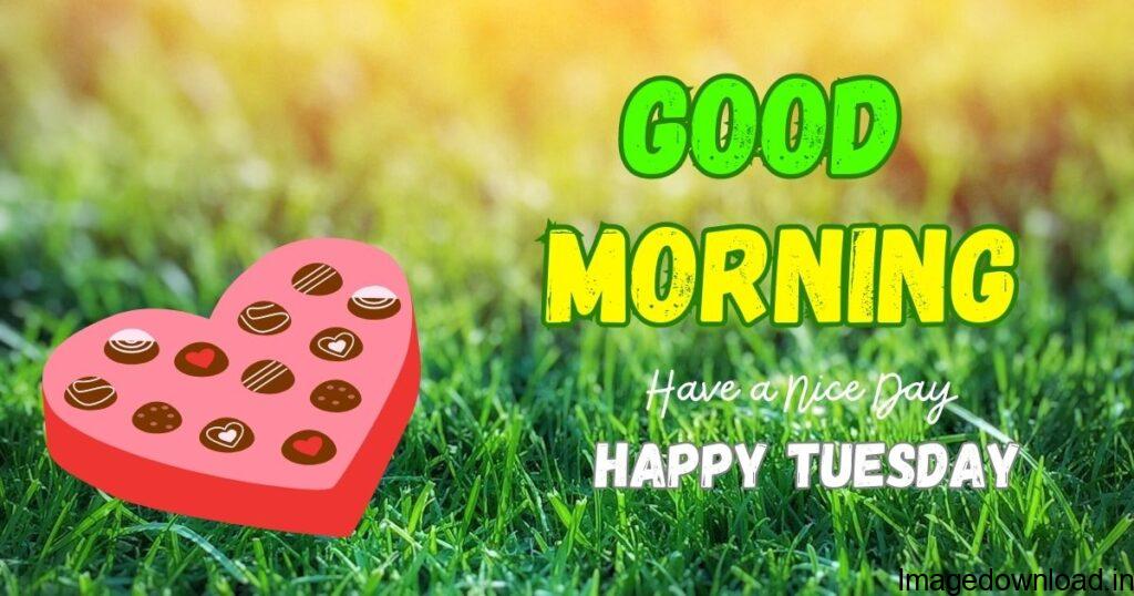 Every morning gives us positivity and happiness. Tuesday is surely a worth day of the week, so today, I have collected the best Good morning ... 