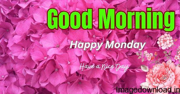 Image of Good Morning Monday Images for Whatsapp Good Morning Monday Images for Whatsapp Image of Good Morning Happy Monday Quotes Good Morning Happy Monday Quotes Image of Good Morning Monday new week Good Morning Monday new week Image of Happy Monday Good Morning Images HD Happy Monday Good Morning