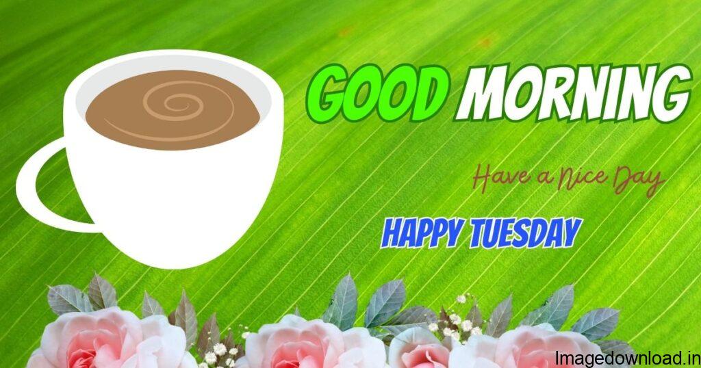 Let our collection of good morning images, wishes, and quotes get your Tuesday started on the right foot. Don't let the day pass you by ...