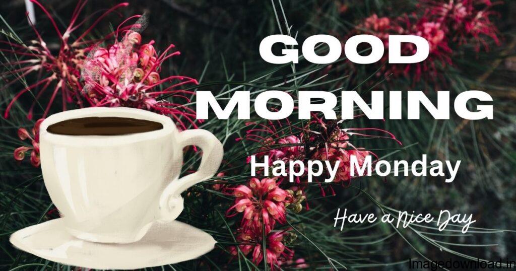 #good morning happy Monday #सुप्रभात शुभ सोमवार ... # शुभ सोमवार # शुभ बुधवार #good morning good ...