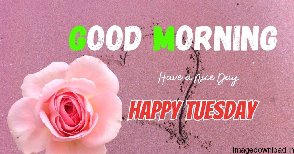 Image of Happy Tuesday Good Morning Images In Hindi Happy Tuesday Good Morning Images In Hindi Image of Good Morning Tuesday Images for Whatsapp Good Morning Tuesday Images for Whatsapp Image of Happy tuesday good morning images god Happy tuesday good morning images god 