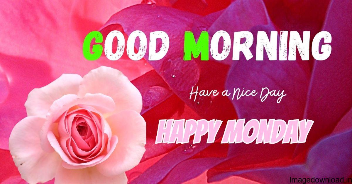  Best & latest collection of "Good Morning Monday Images" Wallpapers, Photos, Dp, choose and download your favourite ones.