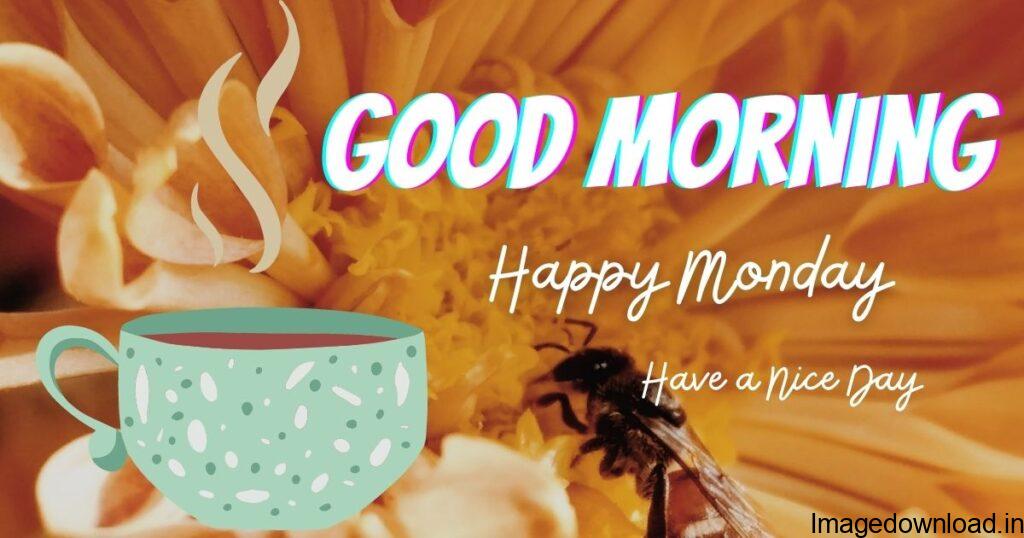  Happy Monday Good Morning Images from www.goodmorninghdloveimages.com Monday good morning images are the best options for monday motivation what can fill your day with golden moments. After a cheerfull sunday, Monday cames as ...