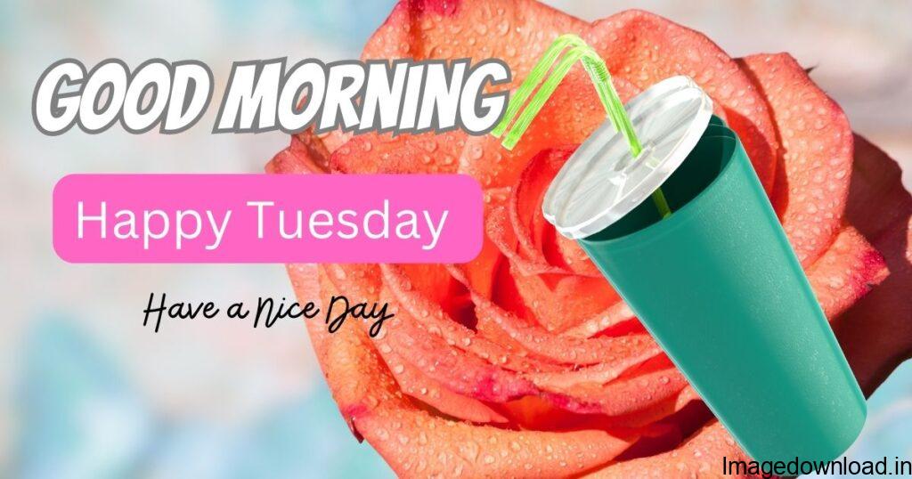 Looking for Good Morning Tuesday Images, Pictures, Photos, Tuesday Love Images, and GIFs and also shared on Facebook, Whatsapp, Pinterest, and Tumblr. 