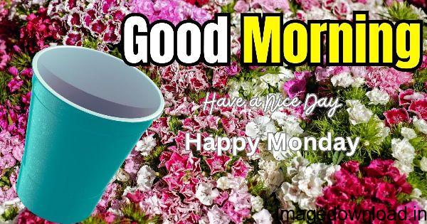 Best 800+ Good Morning Happy Monday Wandarfull Images Download. good morning happy monday, good morning happy monday images, good morning ...