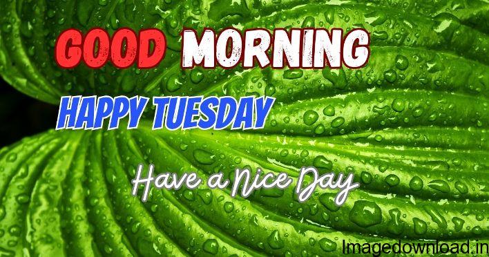Start a wonderful tuesday with tuesday good morning images in Hindi. Motivate your friends and family members by sharing good morning tuesday inspirational ...