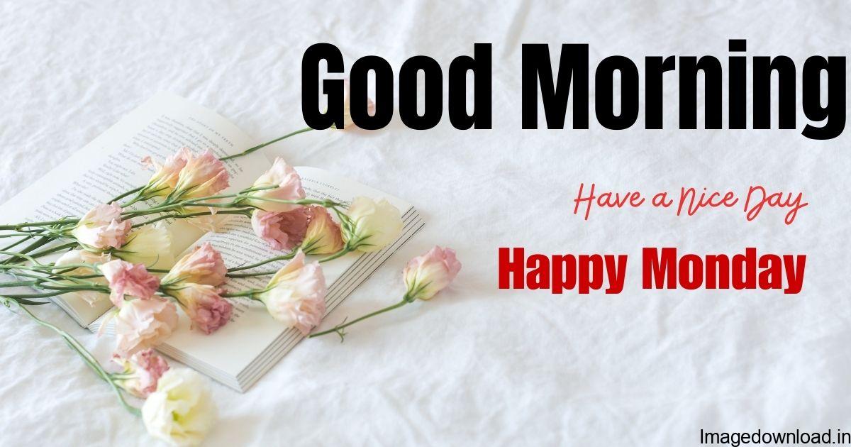 We all hate Mondays as it is the beginning of a new big week. To help you love Mondays, I have gathered some beautiful happy Monday good morning images hd.