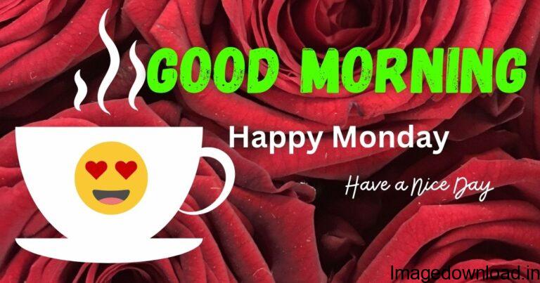 Happy Monday Good Morning Picture. Happy Monday Good Morning Picture Download Image. This picture was submitted by Smita Haldankar.