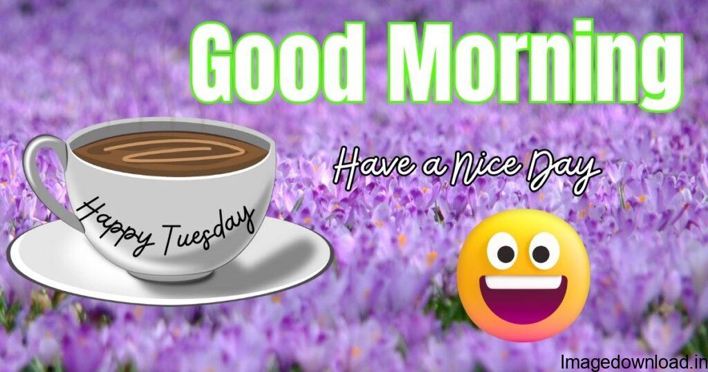 Download the Amazing Collection of Beautiful Good Morning Tuesday images and Tuesday Wishes for Free. and share with your loved once to make them Smile. 