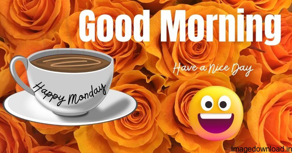 With Tenor, maker of GIF Keyboard, add popular Good Morning Happy Monday animated GIFs to your conversations. Share the best GIFs now >>>