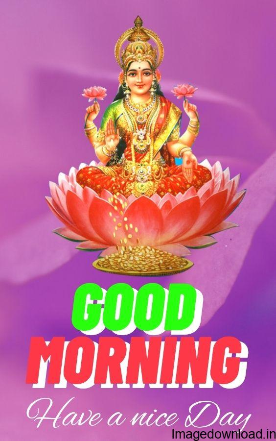  Best & latest collection of "Good Morning Friday Images" Wallpapers, Photos, Dp, choose and download your favourite ones.