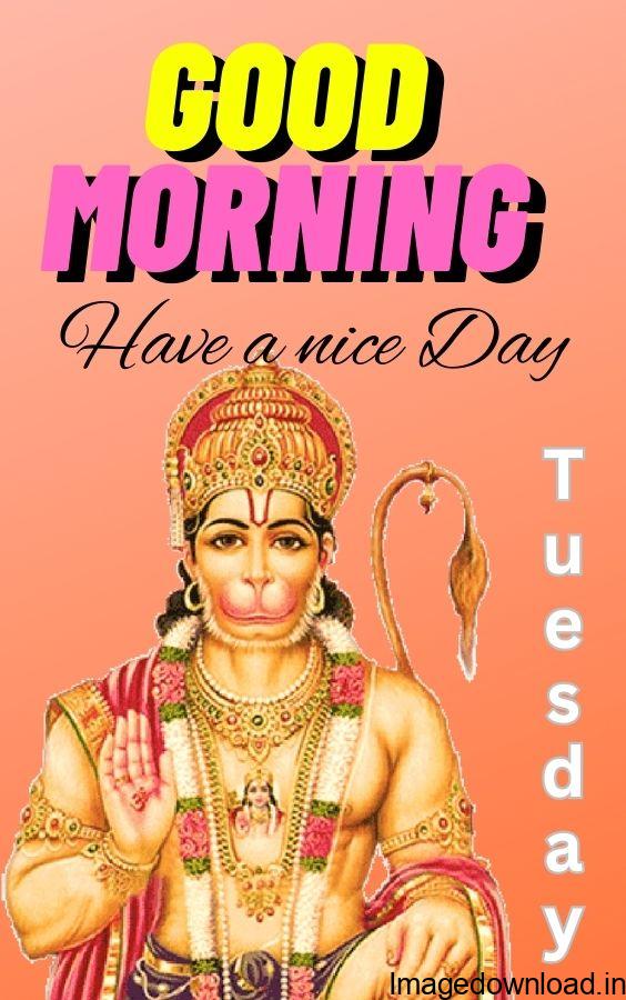 Make your day more refreshing with sharing good morning tuesday images and tuesday good morning wishes photos to your friends, family and loved ones.