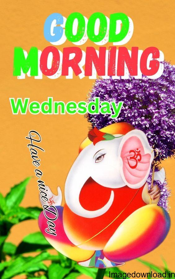 Best & latest collection of "Good Morning Wednesday Images" Wallpapers, Photos, Dp, choose and download your favourite ones.