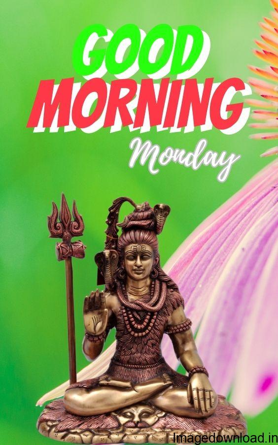 Best collection of “Good Morning Images” Profile pics, DP, photos and wallpapers choose and save your favourite ones.