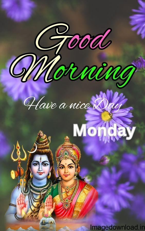 Good morning monday HD wallpapers ; 736x1177px Good Morning Monday Greetings. Good morning happy monday, Monday morning quotes, Good morning flowers, Cute Monday ...