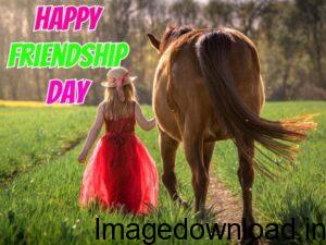 Get The BEST Happy Friendship Day Wishes, Images, Quotes, Status Dp Photos download Friendship Day Dp Images For WhatsApp With Friendship ...