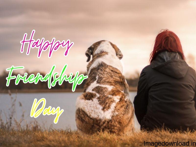 National Friendship Day 2023 Wishes : Here are the Happy Friendship Day Quotes, wishes, messages, shayari, greetings and WhatsApp status