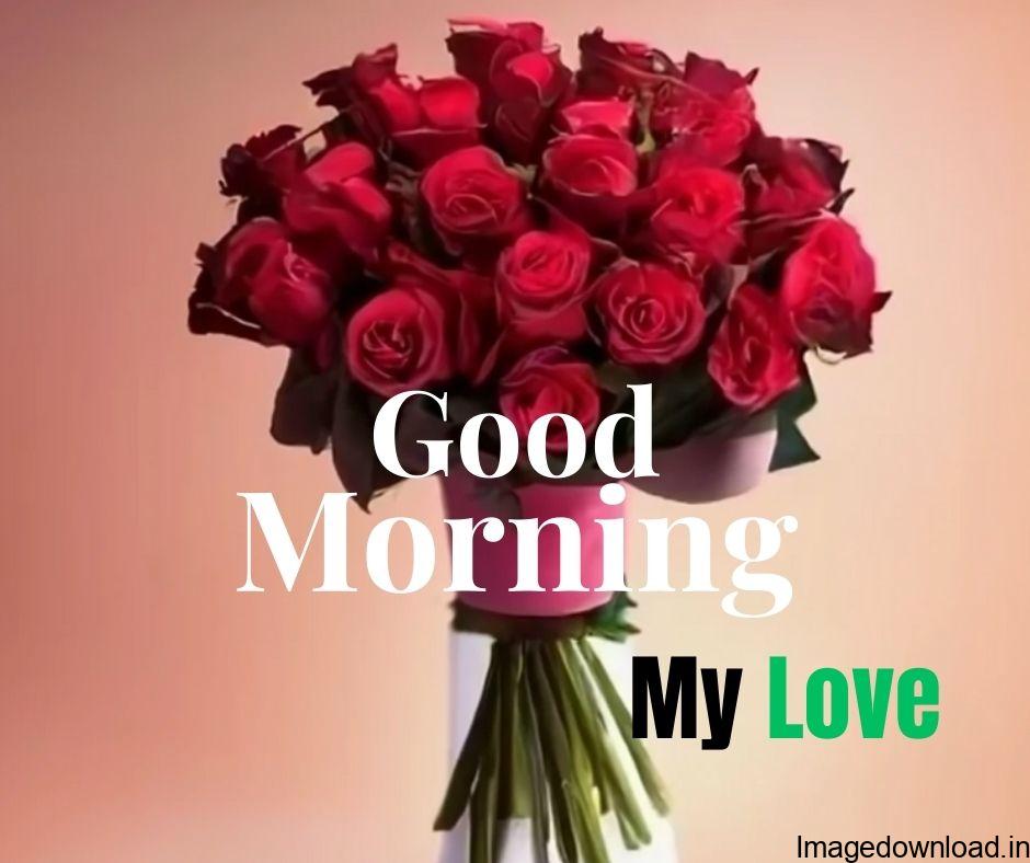 By sending Good Morning Love Images hd wish to your Lover with these best designing Good Morning Images for whatsapp status that make He/She feel so happy.