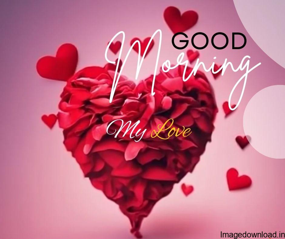 #❤️❤️good morning my love #Good Morning My Love.... #good morning good morning good morning good morning my love good morning good morning good.
