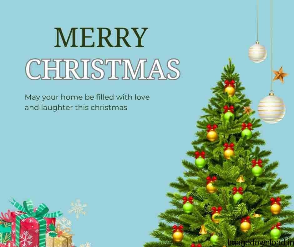 Download 85+ Free Merry Christmas Images and Pictures in HD Quality. Also, Share Christmas Wishes Photos with your loved ones. 